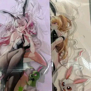 던파 바니바니 아크릴 등신대 판매 키메라 패러메딕