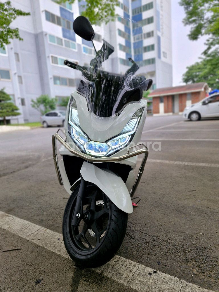 2024 PCX125 ABS--0