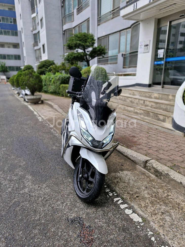 2024 PCX125 ABS--6