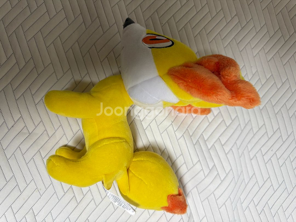 [빠른 판매] 일본 포켓몬센터 정품 인형들 판매--0