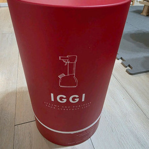 IGGI스팀다리미