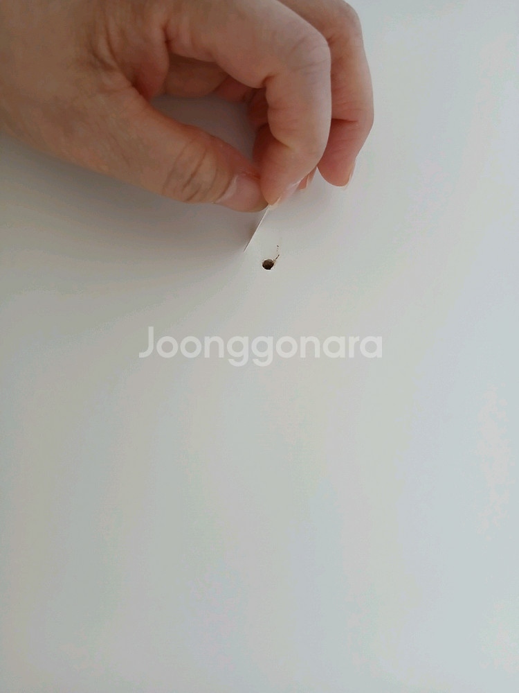 헤드리스침대 수퍼싱글--2