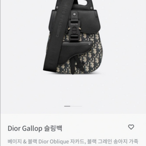 디올 Gallop 슬링백입니다