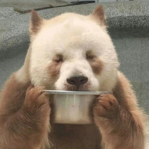 세카이노 오와리