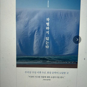 한강 작별하지 않는다