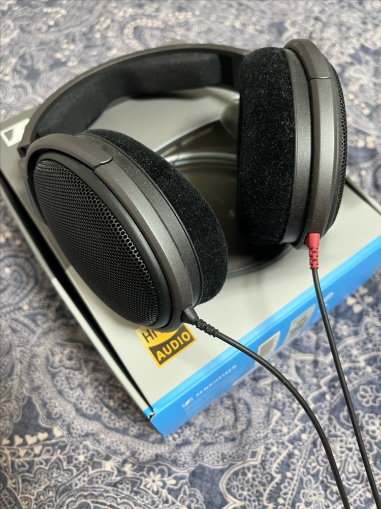 젠하이저 hd600 이미지