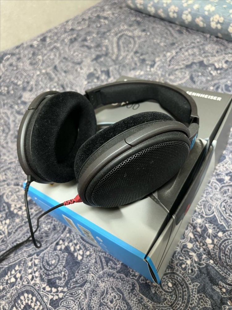 젠하이저 hd600 이미지