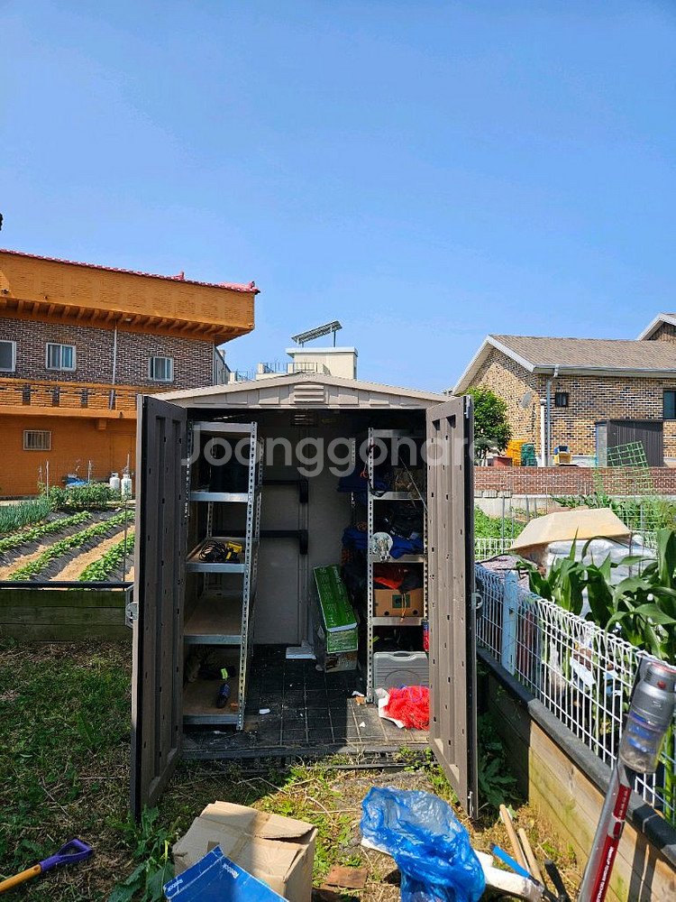 코스트코 케터창고--2