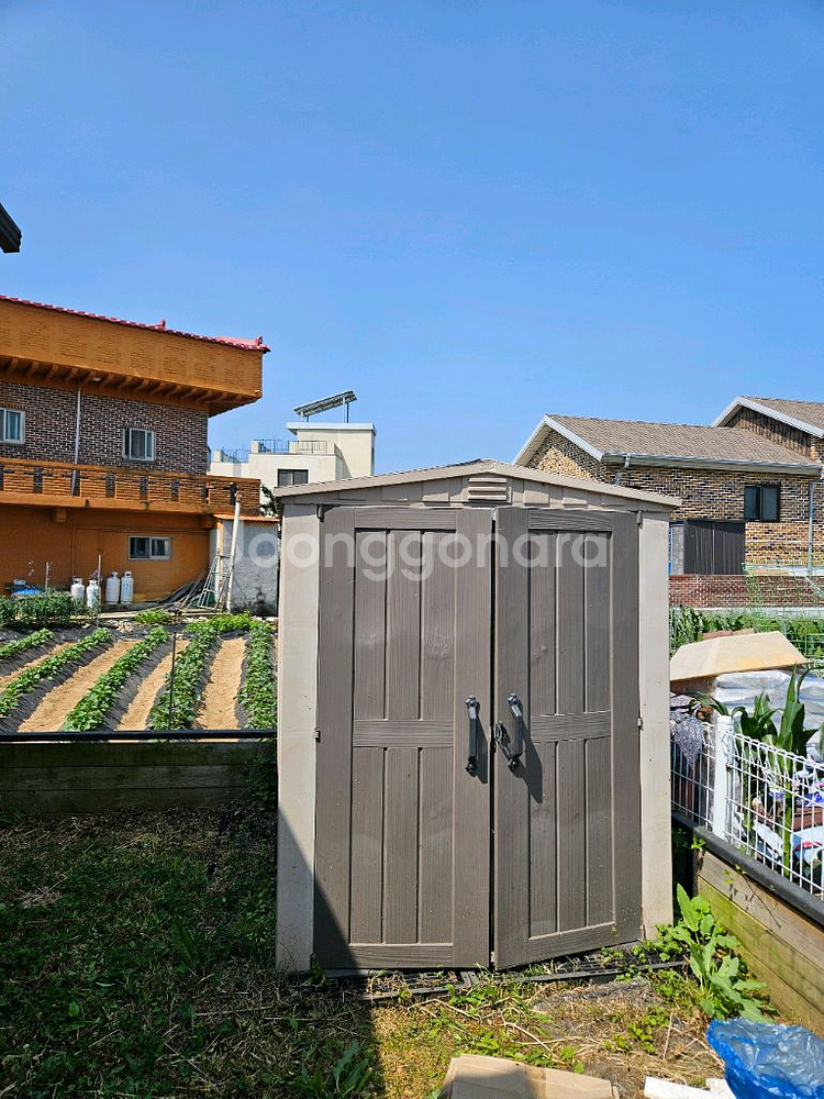 코스트코 케터창고--1