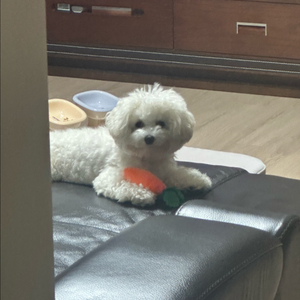 6/21 롯데 삼성 1루 내야상단석