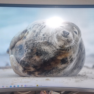 한성 울트론 3257 커브드 32인치 144hz