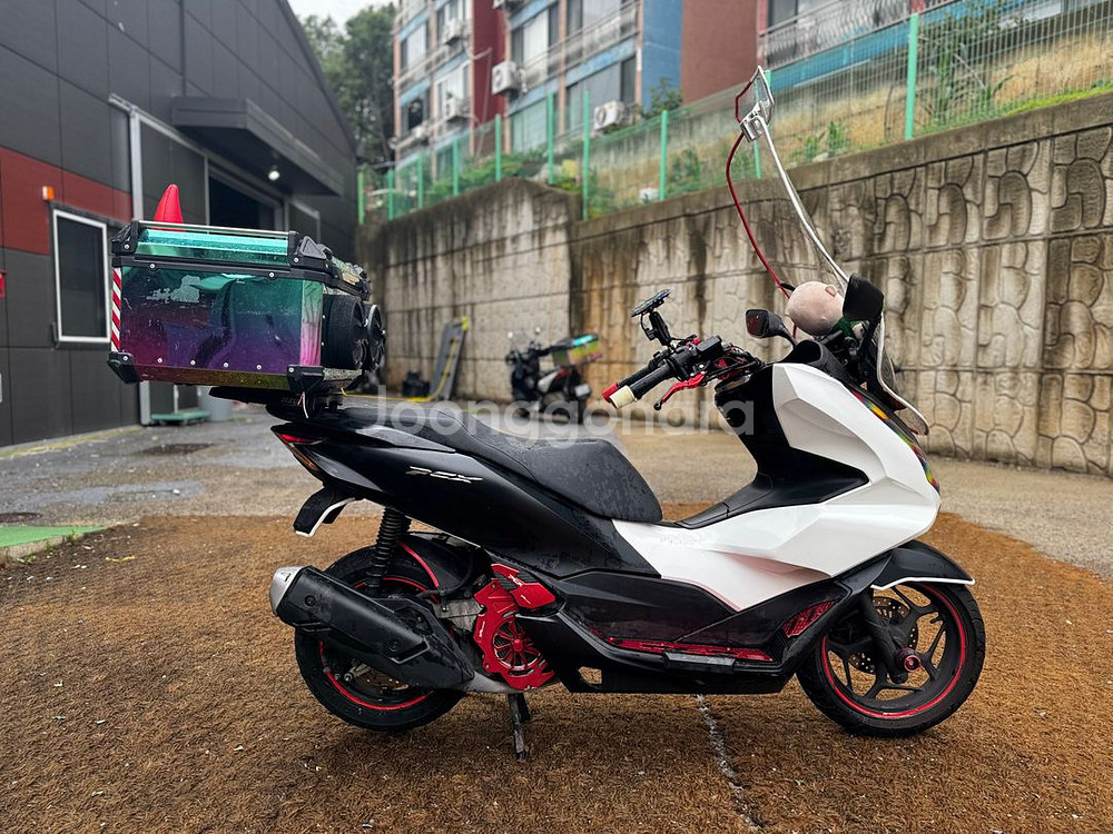 익실구변] 혼다 PCX125 ABS 23년형 2만KM--3