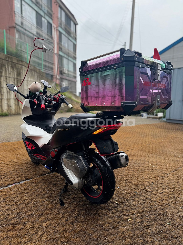 익실구변] 혼다 PCX125 ABS 23년형 2만KM--6