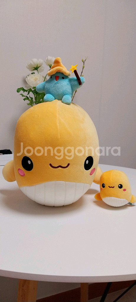 [새상품] 고래잇 인형 30cm / 고래잇 키링 11c--1
