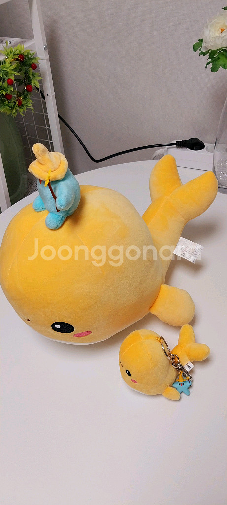 [새상품] 고래잇 인형 30cm / 고래잇 키링 11c--5