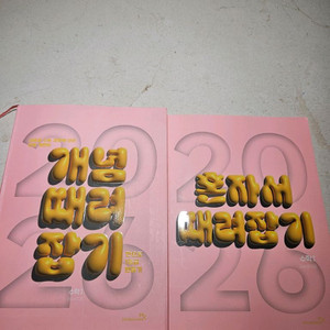 2026 정승제 개때잡 + 혼때잡 수1
