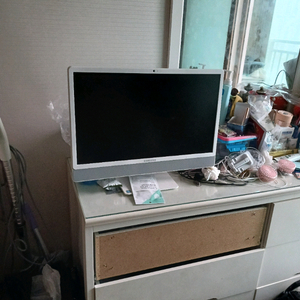 삼성 올인원PC
