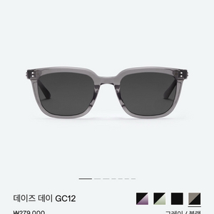 젠틀몬스터 데이즈데이 그레이블랙