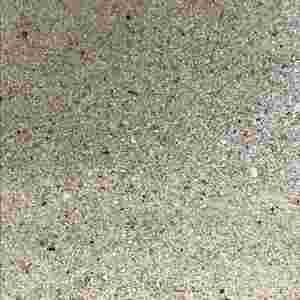 어항 바닥재 산호사 대용량