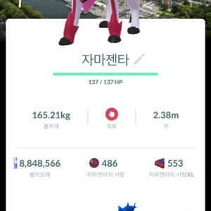 포켓몬고 자마젠타 파리배경 이로치 팝니다