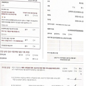 잠실 도그마루)강아지 분양권 팝니다(43%할인)
