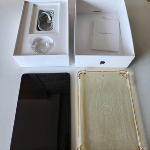 아이패드 미니5 셀룰러 64G