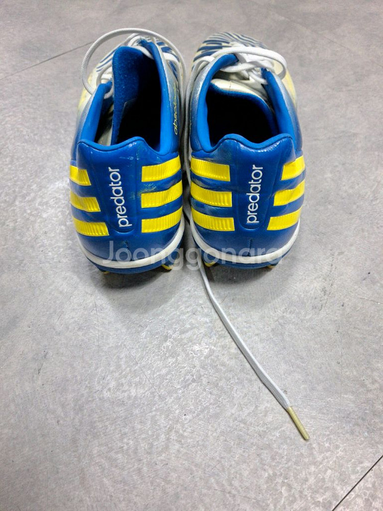 아디다스 프레데터 앱솔라도 축구화 265-270--5