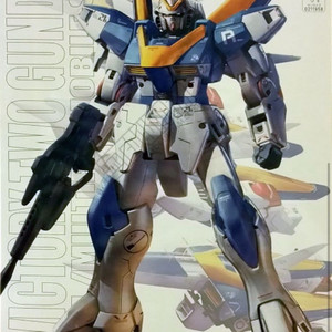 MG V2 건담 Ver. Ka 메카니컬 클리어 /골드