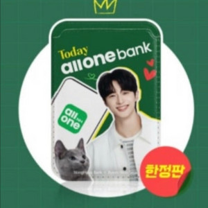 변우석 카드지갑 농협 2개 5.8만원