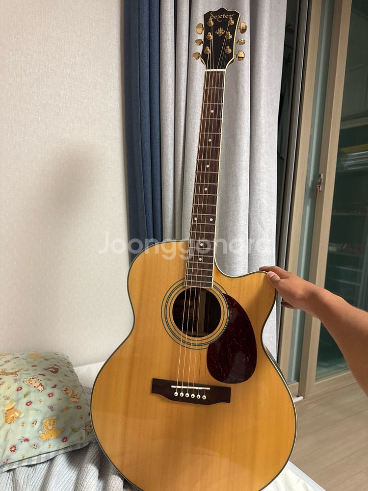 덱스터 통기타--0