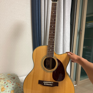 덱스터 통기타