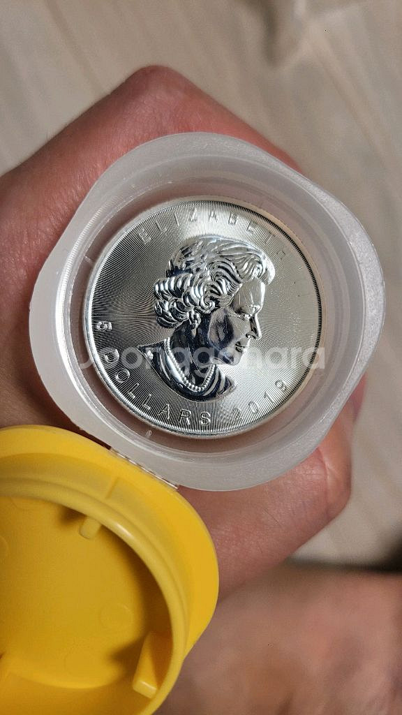 실버바 캐나다 메이플은화 25온스( 1온스*25개)--0