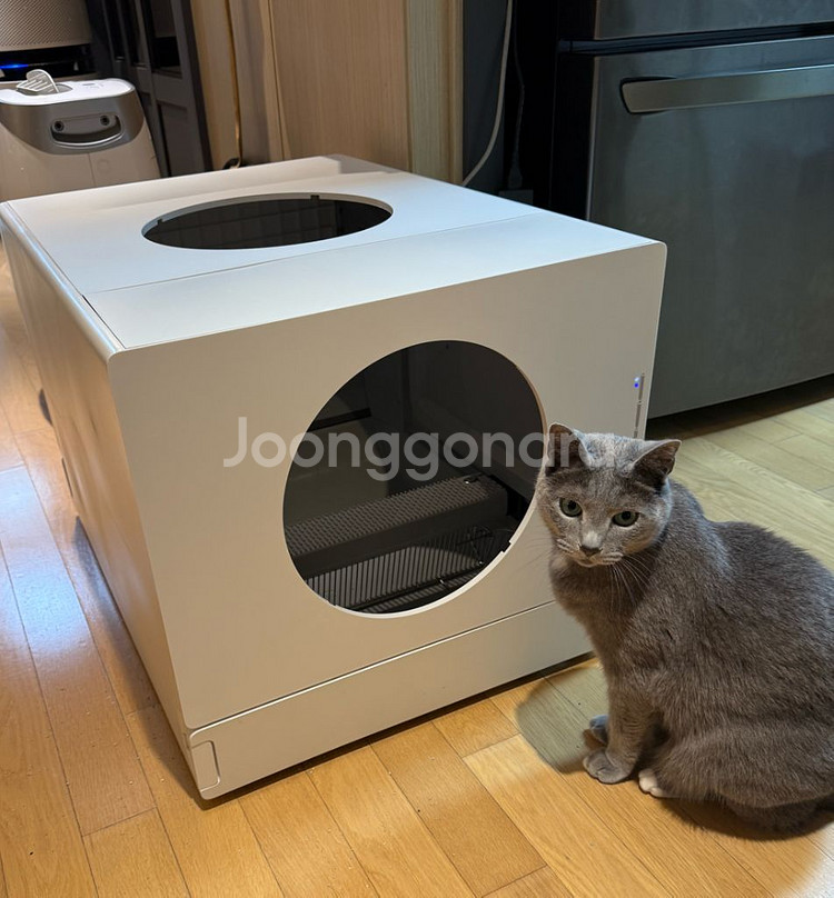 스큐빅 고양이자동화장실--0