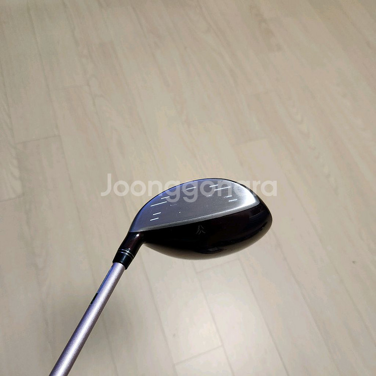 젝시오여성우드3번 MP900K, L--1