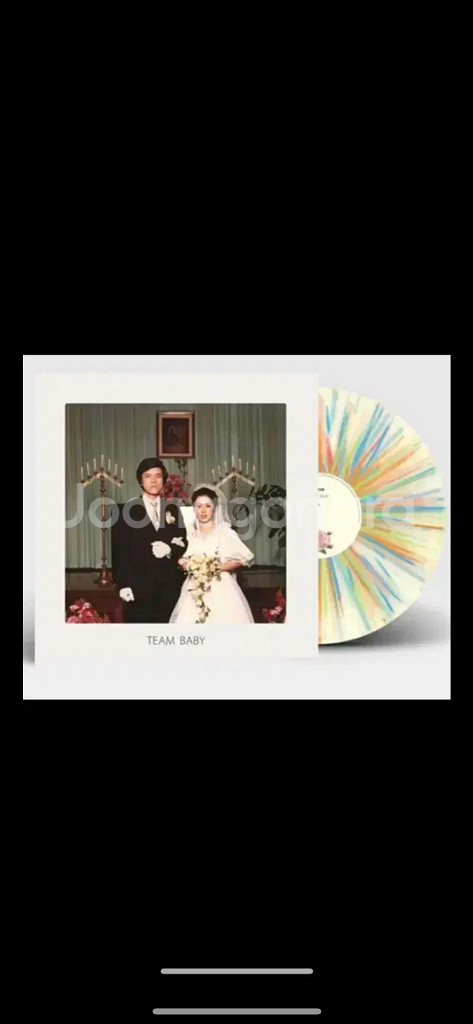 검정치마 TEAM BABY LP 미개봉--0