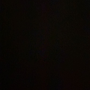 결제창