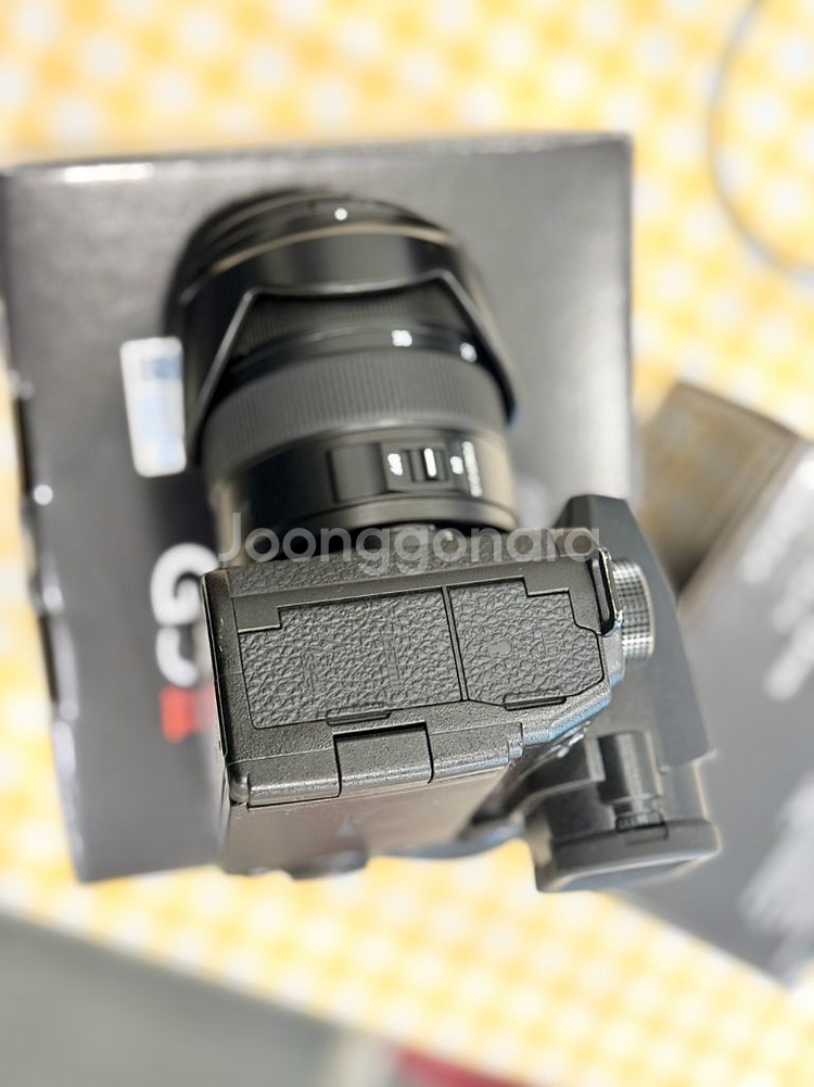 파나소닉 루믹스 G9m2--4