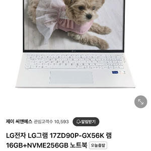 LG 그램 17ZD90P-GX56K 1tb