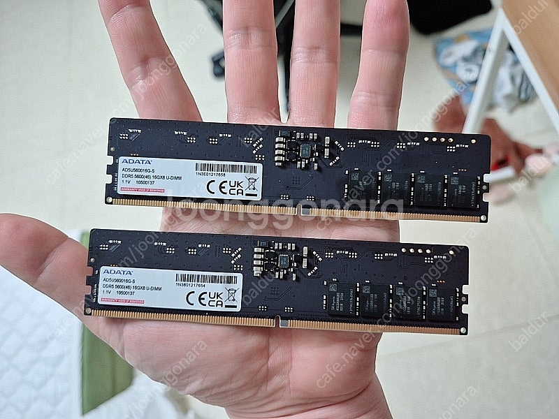 Adata ddr5 5600 16gb 2장 (합32gb--0