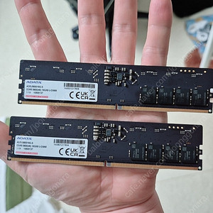 Adata ddr5 5600 16gb 2장 (합32gb