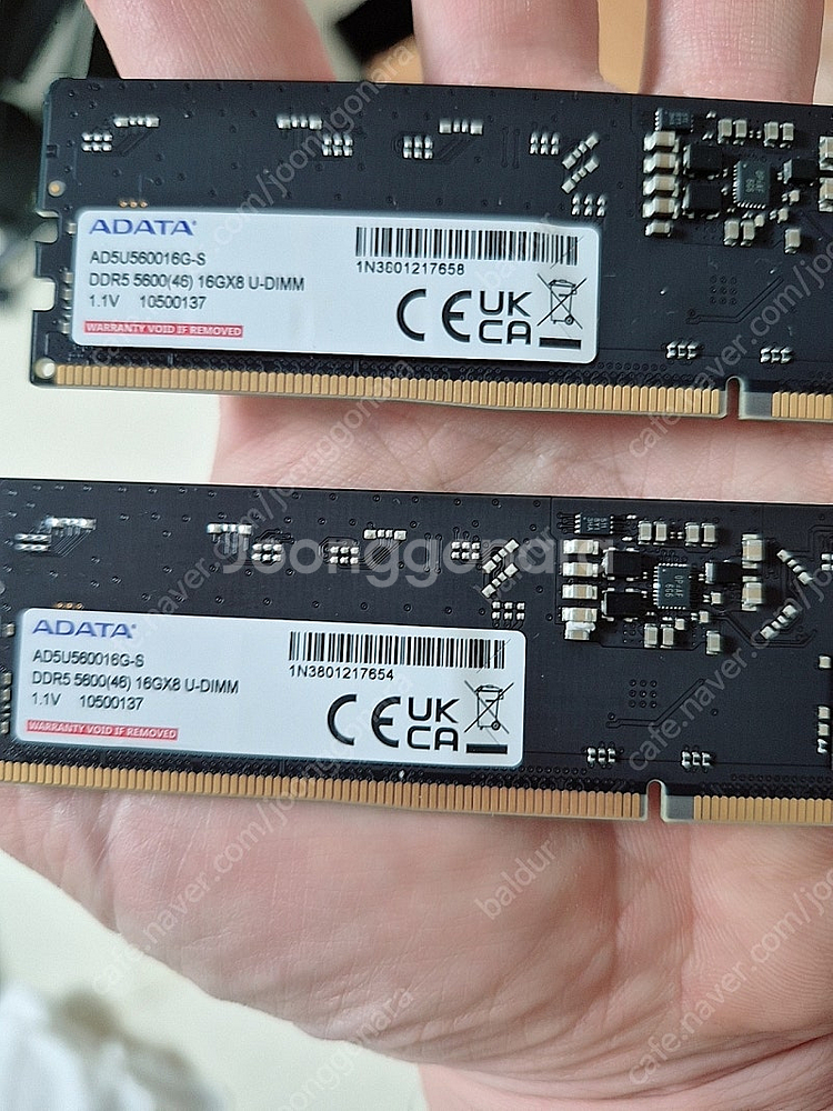 Adata ddr5 5600 16gb 2장 (합32gb--2