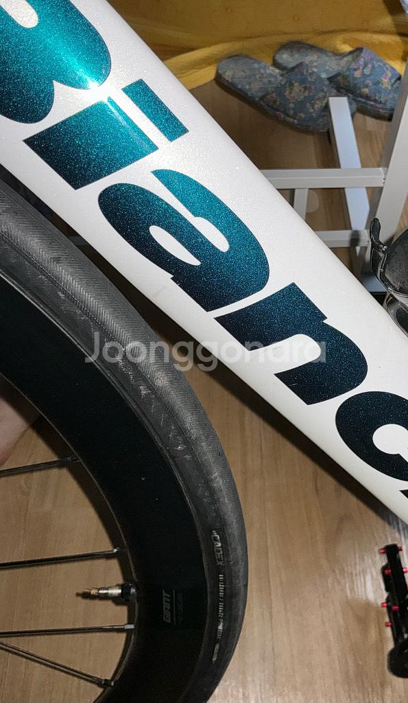 비앙키 아리아 비앙코에디션2021--6