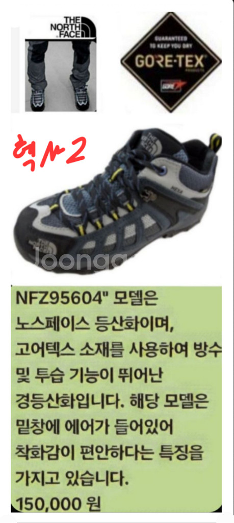 노스페이스 고어텍스 경등산화 260(265) 택비포함--1