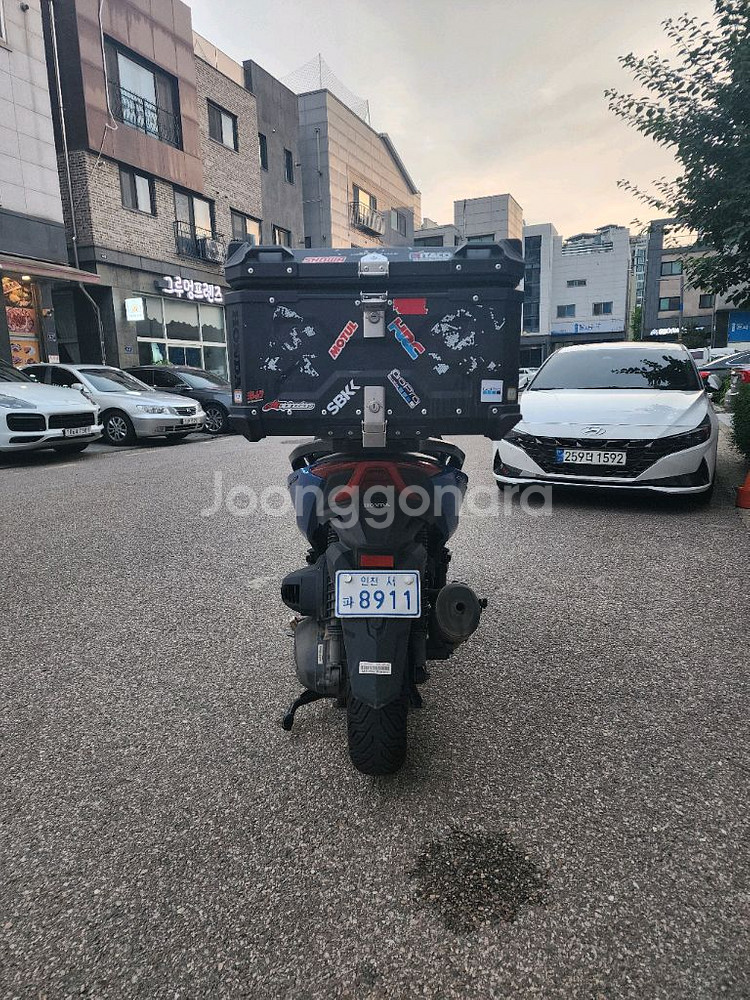 포르자350 24년식--5