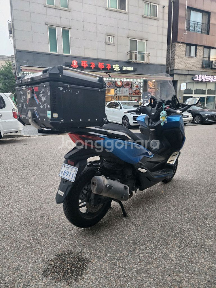 포르자350 24년식--4