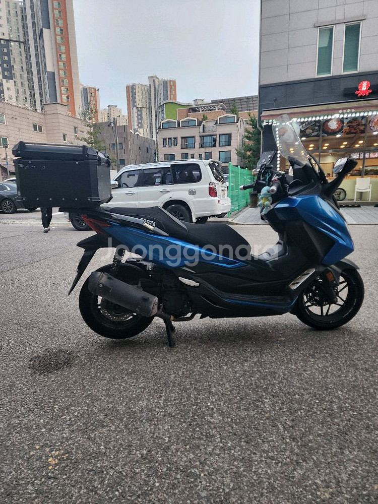 포르자350 24년식--3