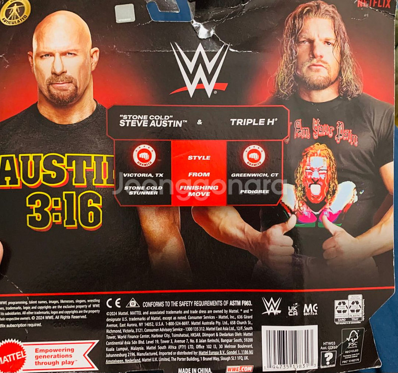 마텔 WWE 베이직 챔피언십 쇼다운 트리플H--4