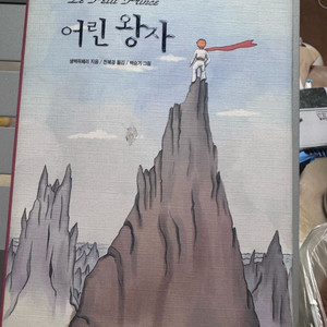 어린왕자 책 독서