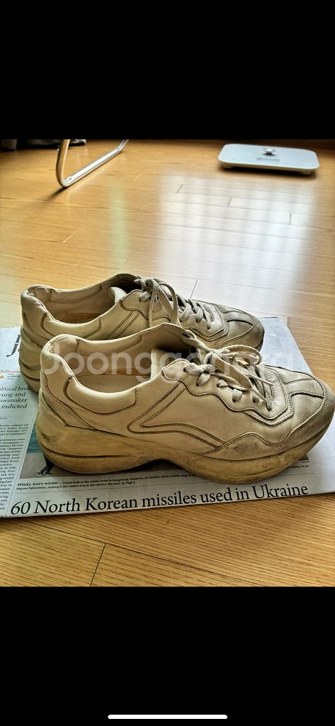 구찌 어글리슈즈 아이보리 스니커즈 270--2