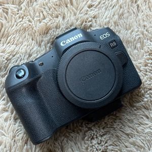 캐논 eos r8